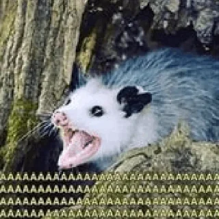 🫥