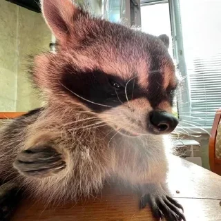 😡
