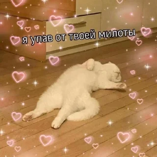 🙈