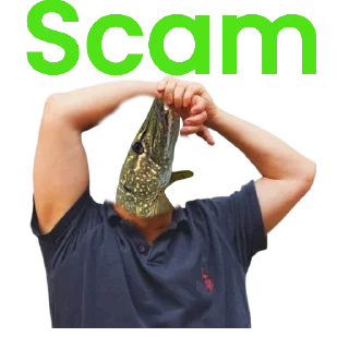 💸