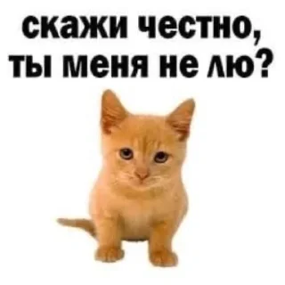 🥺