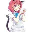😼