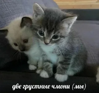 ☹️