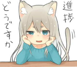 😼
