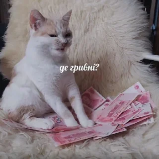 🤨