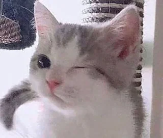 🎀
