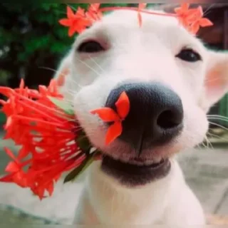 😙