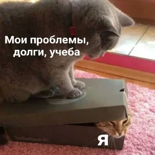😒