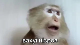 🤯