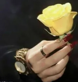 🌹