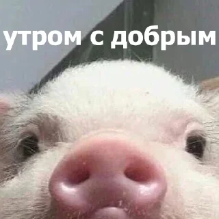 😊