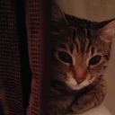 😲