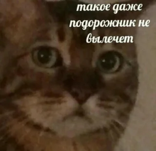😢