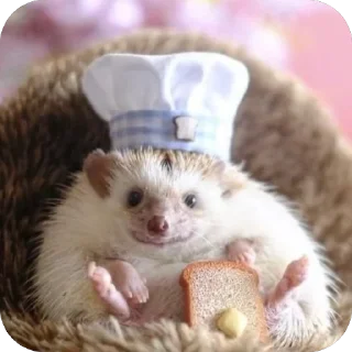🧑‍🍳