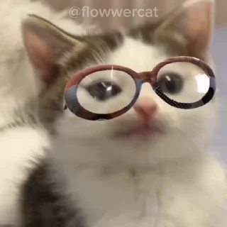 🤓