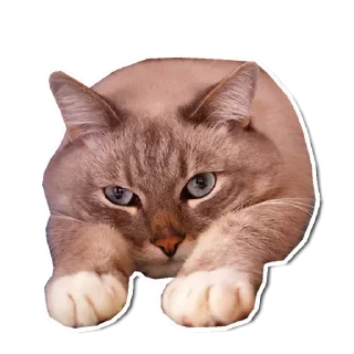🙂
