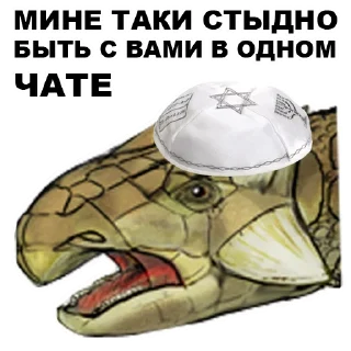 👦