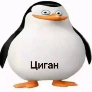 🦇