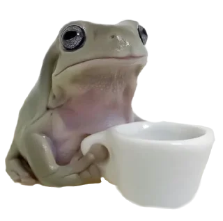 чай с молоком🧦🌟🥛🏛 :: @fStikBot