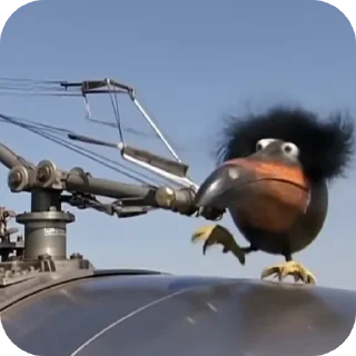 🐦