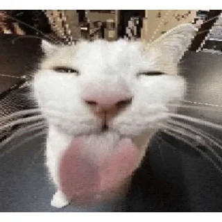 😘