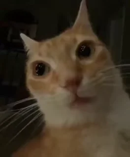 😡