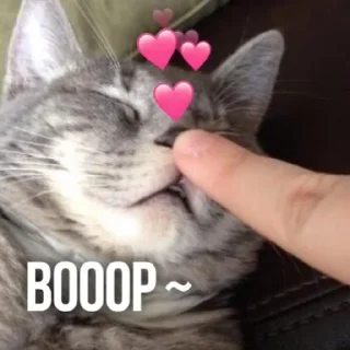 🥸