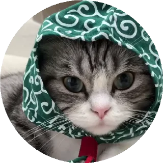 👵