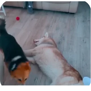 👍
