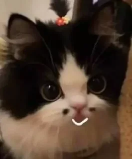 🙂