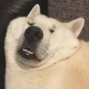 🙈