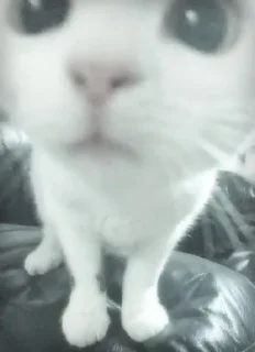 🤨