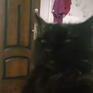 💩