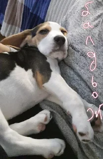 😌