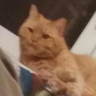 😉