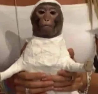 👳‍♂️