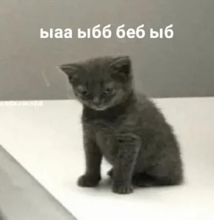 ☠️