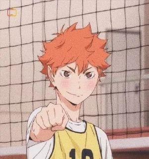 🍊