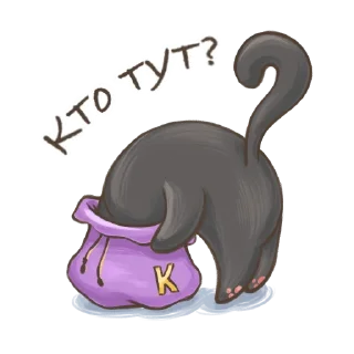 🐱