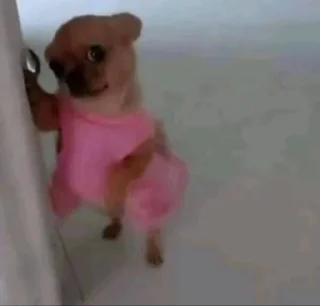 🤩