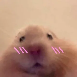 😳