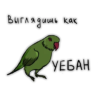 😎