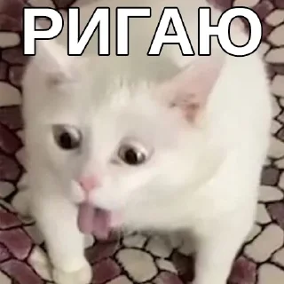 🤮