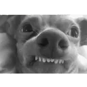 😁