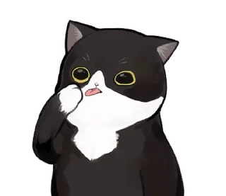 🐱