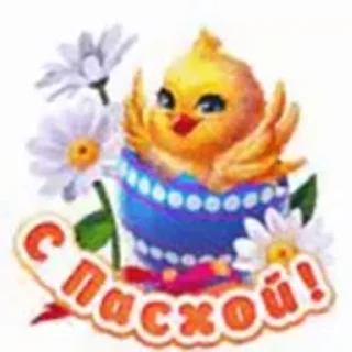 🥚