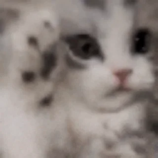 😱