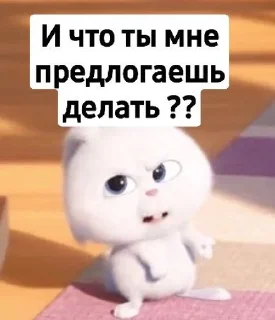 😳