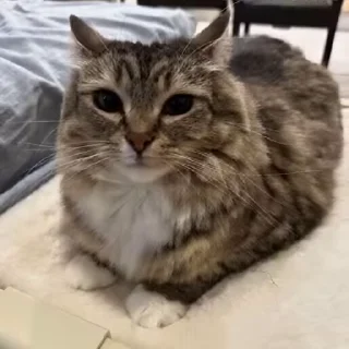 😏