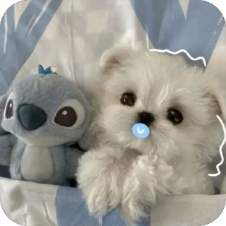 😻 мило
